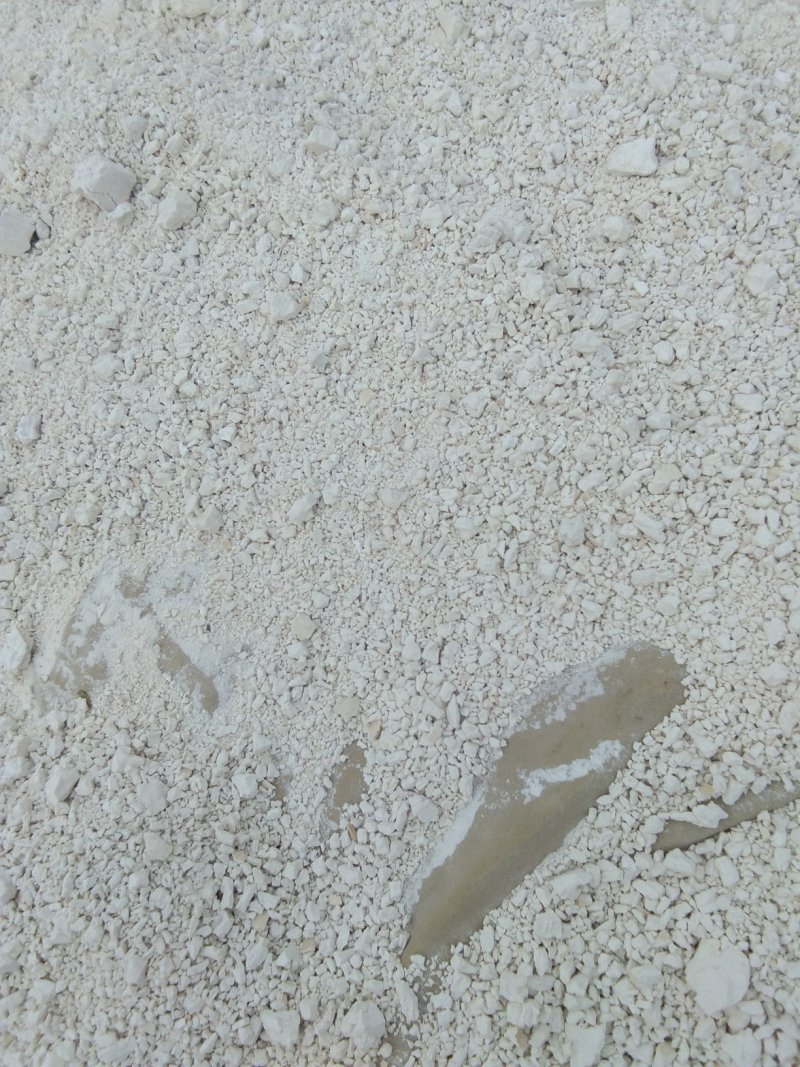 纯红薯粉面