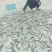 鲫鱼干日晒