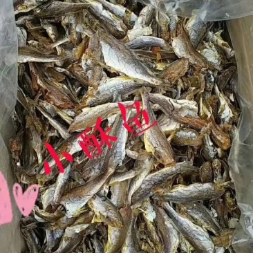 小酥鱼