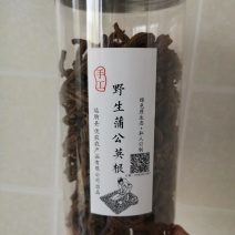 野生蒲公英根茶（手工炒制）《招代理，我们生产》