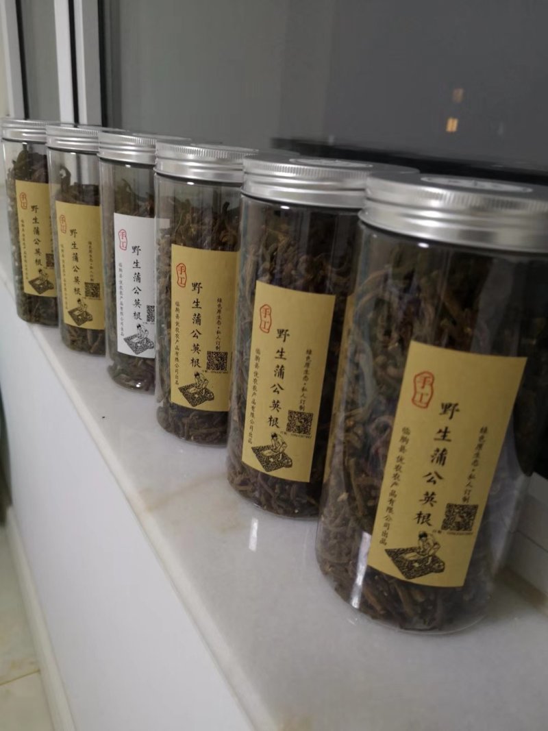野生蒲公英根茶（手工炒制）《招代理，我们生产》