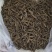 野生蒲公英根茶（手工炒制）《招代理，我们生产》