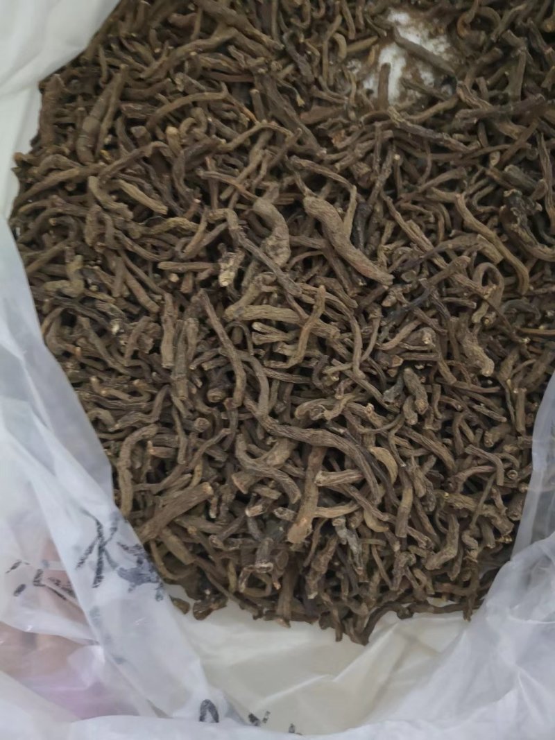 野生蒲公英根茶（手工炒制）《招代理，我们生产》
