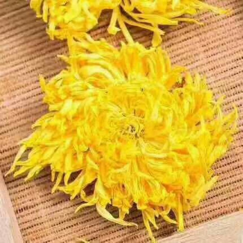 金丝黄菊