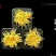 金丝黄菊