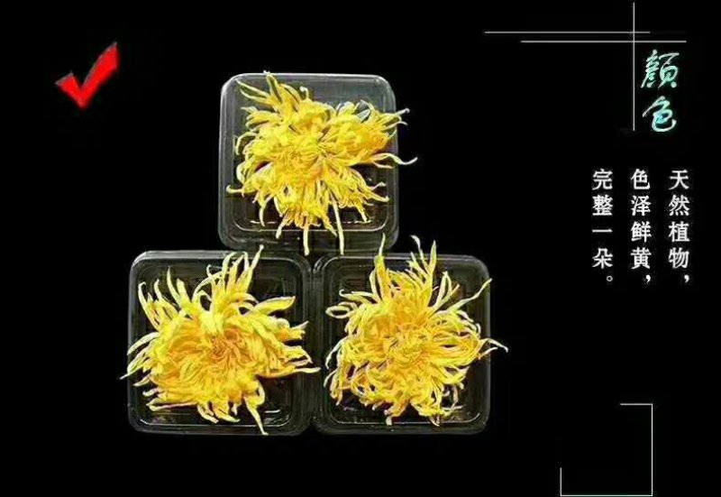 金丝黄菊