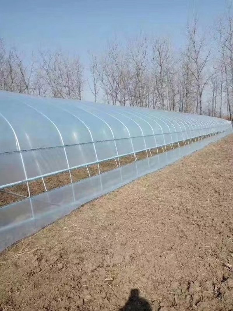 天津大棚骨架厂家直销大棚钢管8米宽蔬菜种植棚西瓜棚
