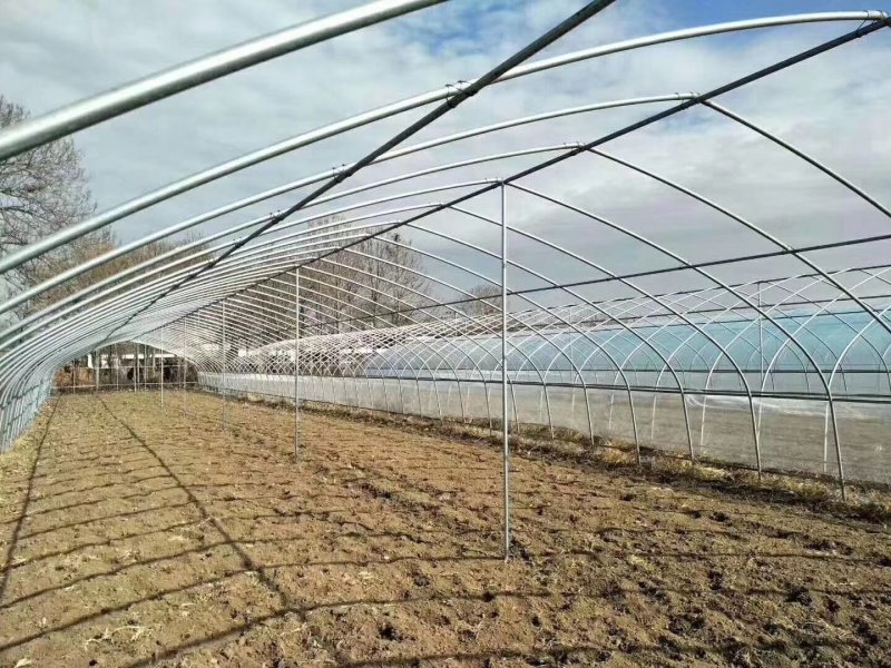 天津大棚骨架厂家直销大棚钢管8米宽蔬菜种植棚西瓜棚