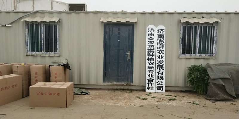 章丘鲍芹，酒店商超专供，大型章丘鲍芹专业合作社！
