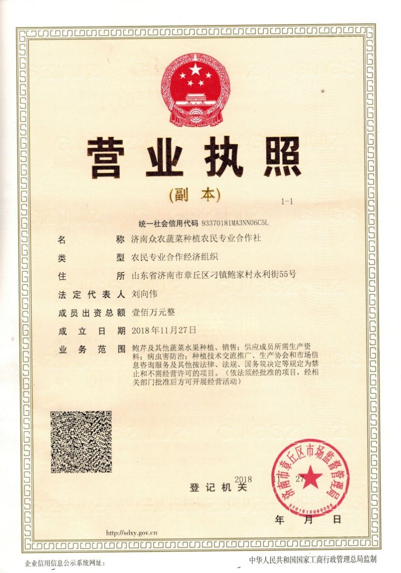 章丘鲍芹，酒店商超专供，大型章丘鲍芹专业合作社！