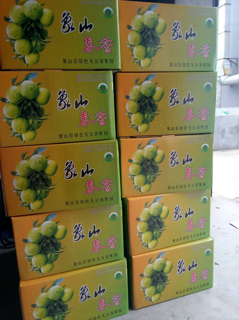 象山春香象山青黄金贡柑皇帝柑