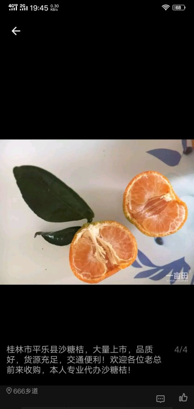 代办沙塘桔，货源充足，质量扛扛的