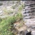 济南章丘相公庄镇2000亩养殖山地160万转让45年