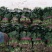 河南黑叶菠菜，20一25公分，全国代发，可以实地看货