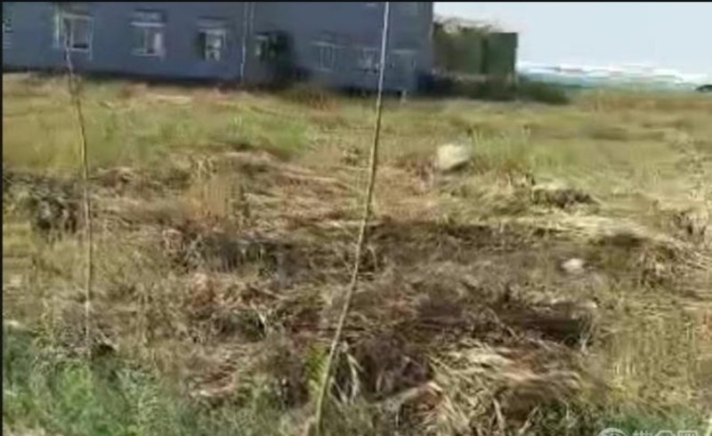 潍坊滨海化工园区100亩化工厂房2500转让