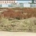 潍坊滨海化工园区100亩化工厂房2500转让