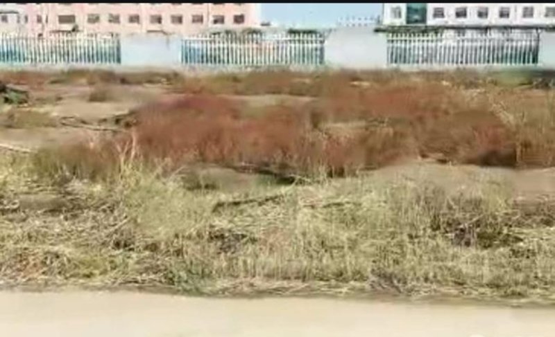 潍坊滨海化工园区100亩化工厂房2500转让