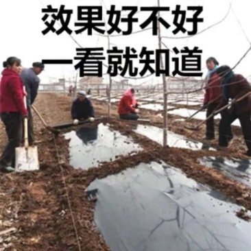 地膜