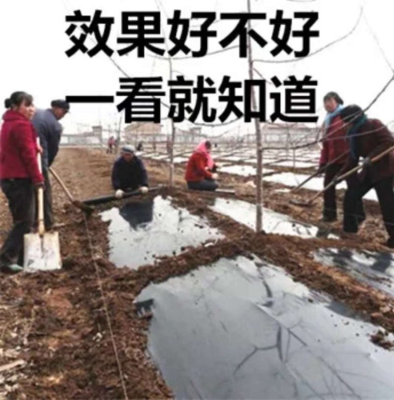 地膜