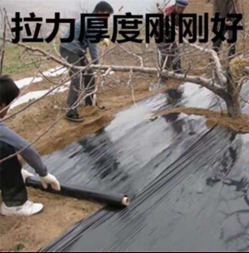 地膜