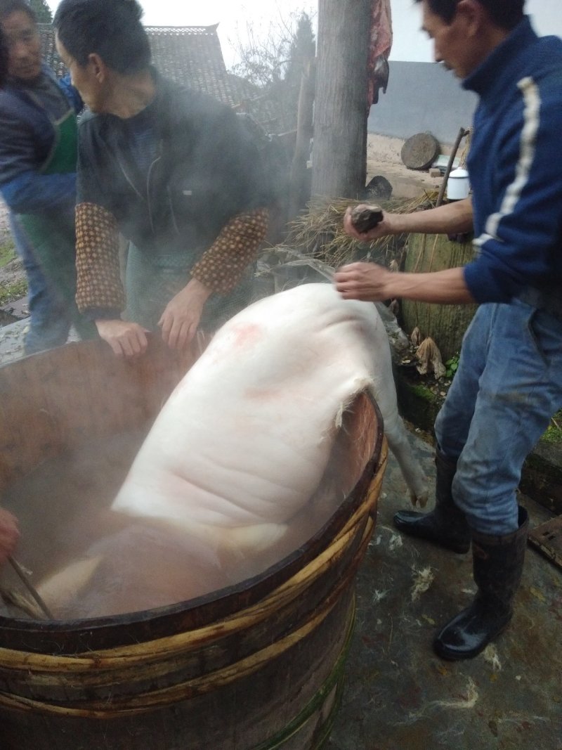 农村猪肉香肠