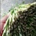 韭菜二刀韭菜大量现货。货源充足，价钱便宜，有需要的联系我