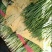 韭菜二刀韭菜大量现货。货源充足，价钱便宜，有需要的联系我