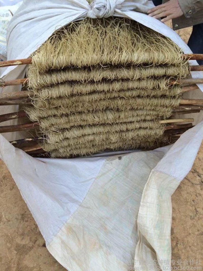 粉丝纯红薯粉丝久煮不糊汤，纯手工制作