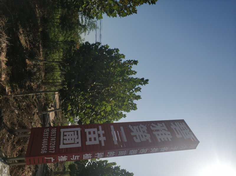 鄢陵色块苗木基地。