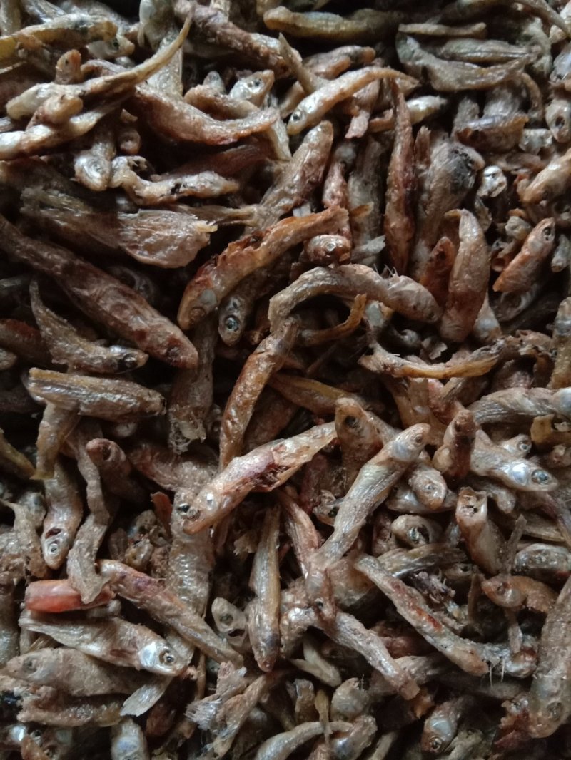 鱼干大沂河小鱼干锅烤鱼鱼仔，可视频看货