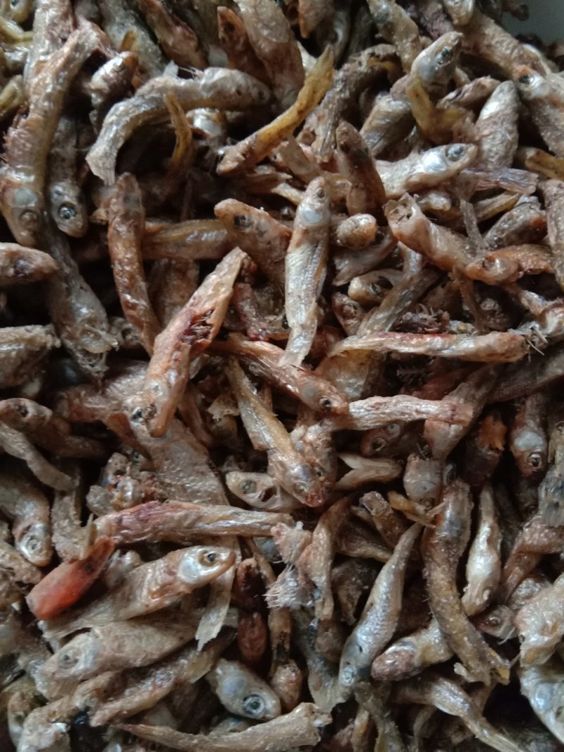 鱼干大沂河小鱼干锅烤鱼鱼仔，可视频看货
