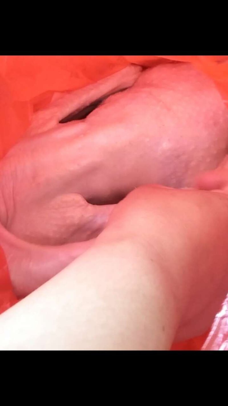 白条鹅