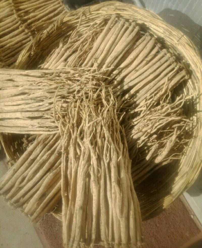 白条党参干货中大条