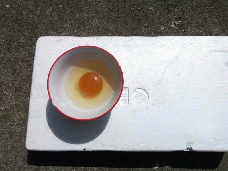 正中土鸡蛋