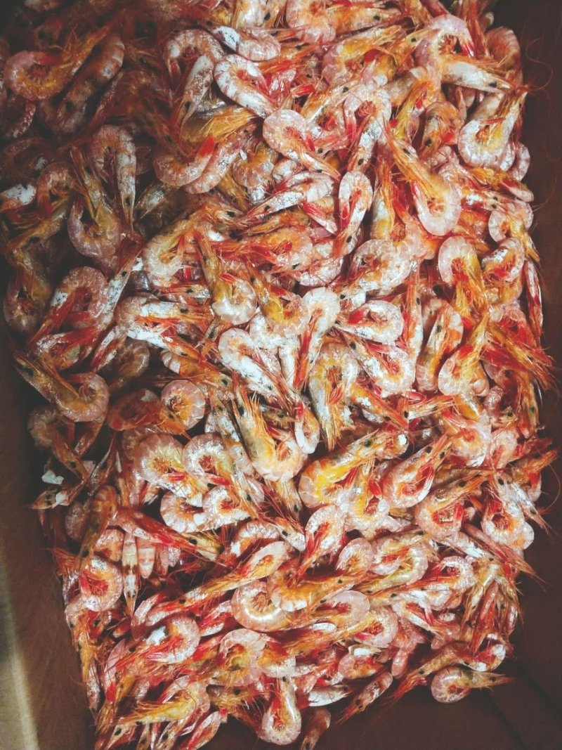铐虾干虾干对虾干虾仁干对虾野生剑虾干满天星