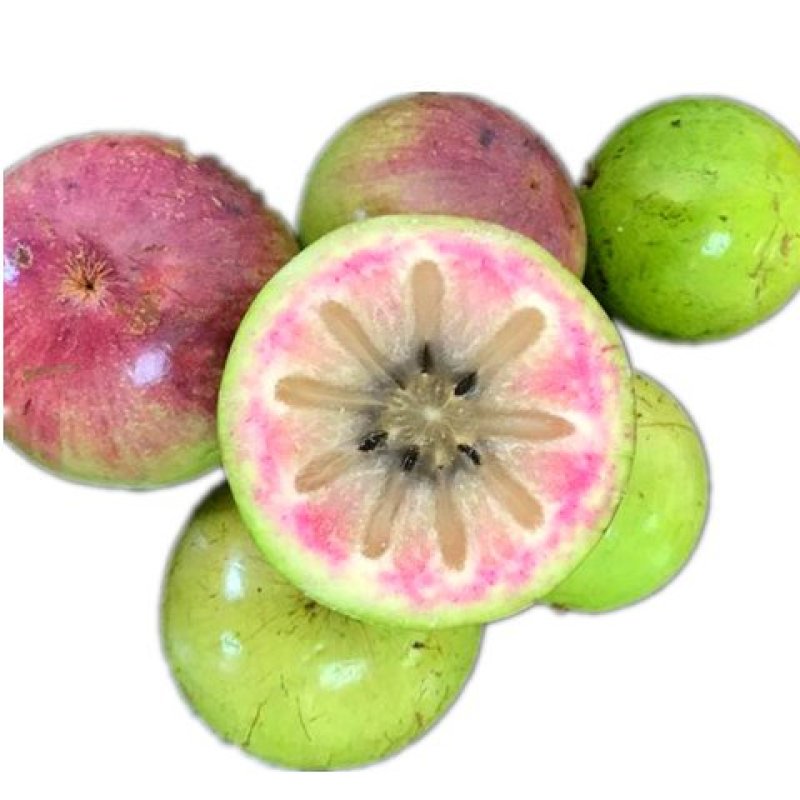 牛奶果