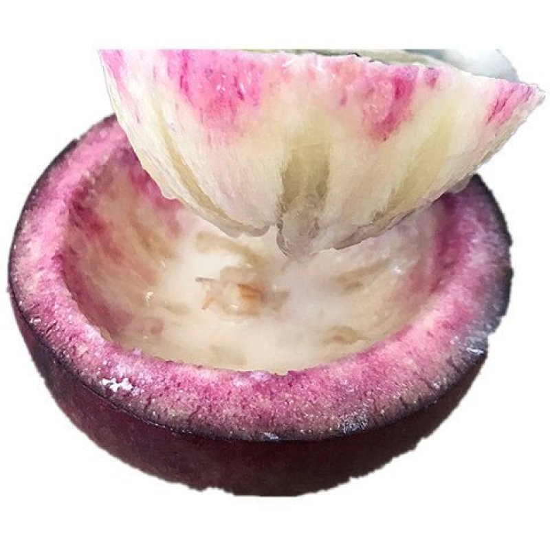 牛奶果