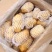泗水县荷兰土豆大量出售中……………………………