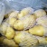 泗水县荷兰土豆大量出售中……………………………