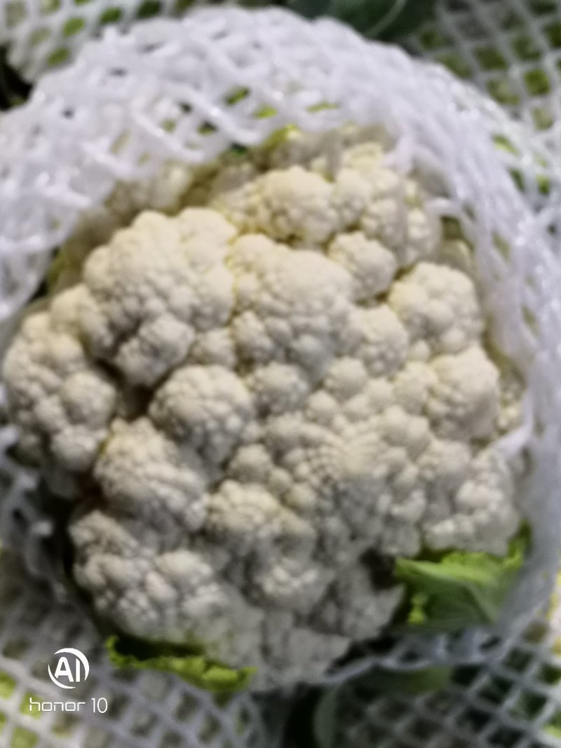 松花大量有货！！！！