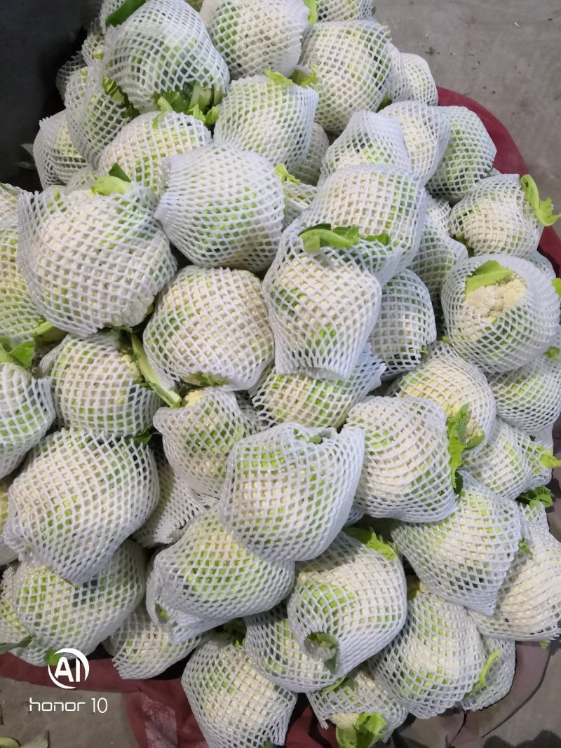 松花大量有货！！！！