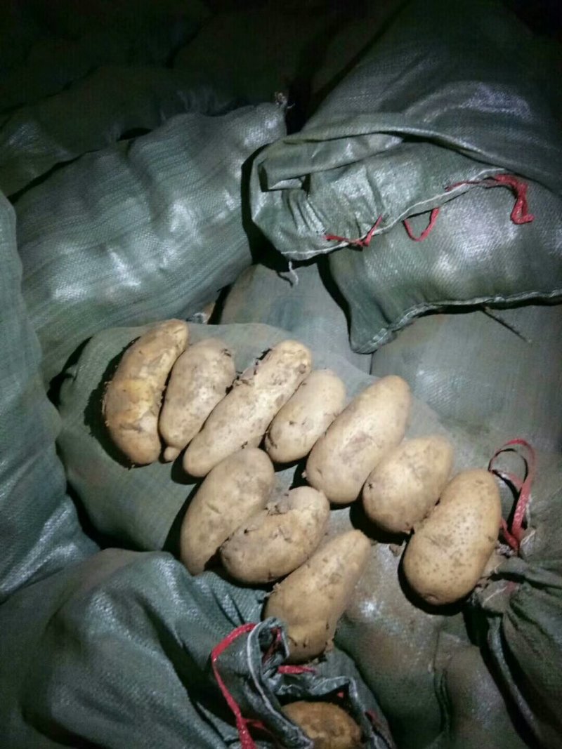 荷兰