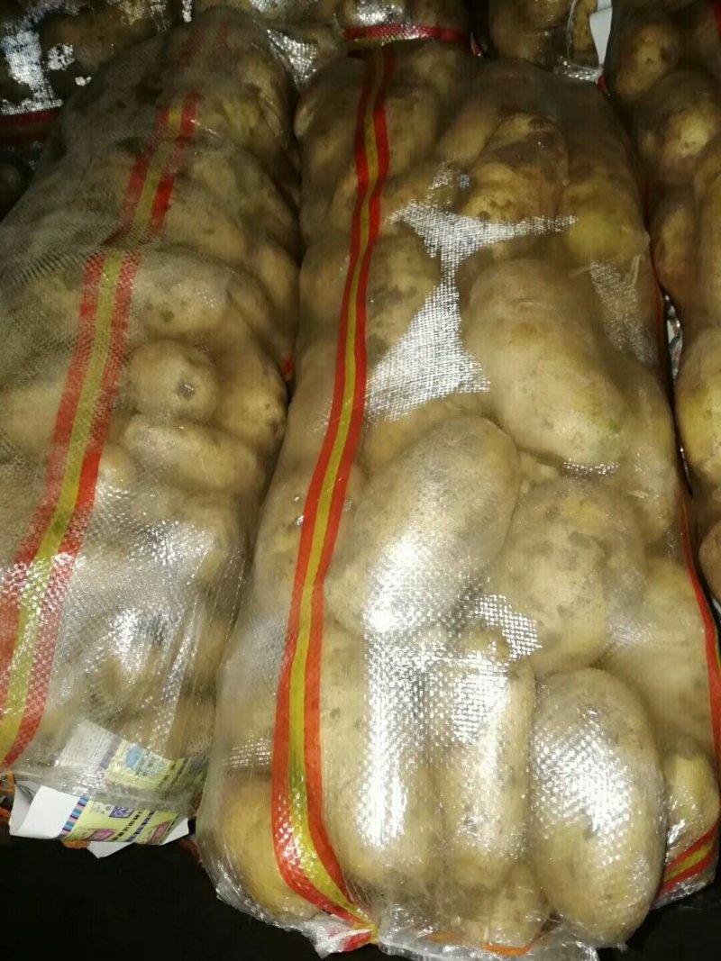 荷兰
