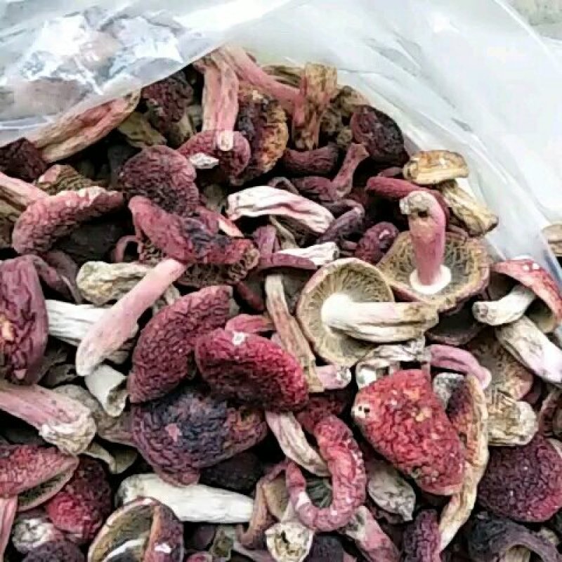 精品红菇云南野生正红菇