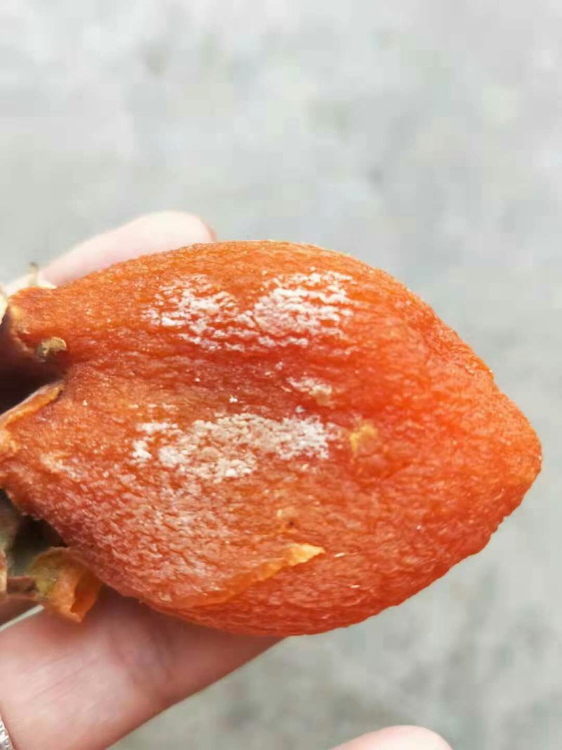 干果