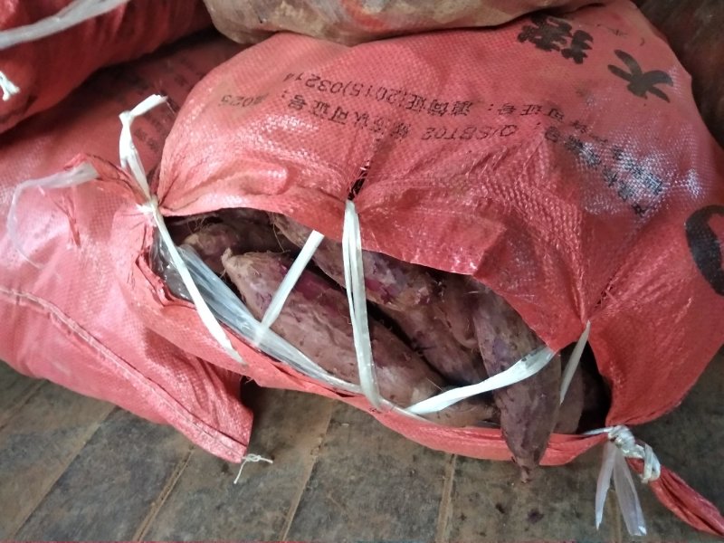 紫薯通货紫心，加工市场均可，量大从优，欢迎联系