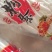 土豆粉红薯粉厂家直销