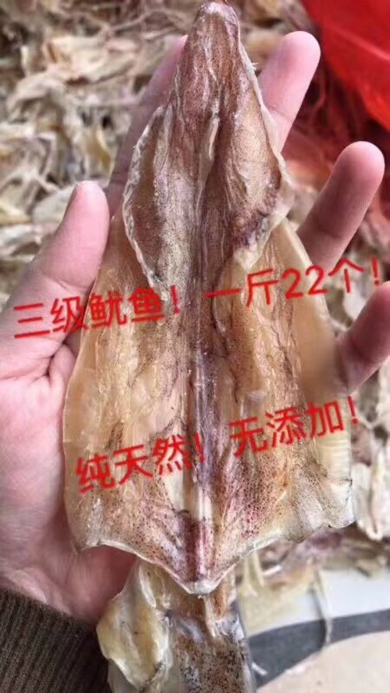 北海正宗船上吊晒鱿鱼