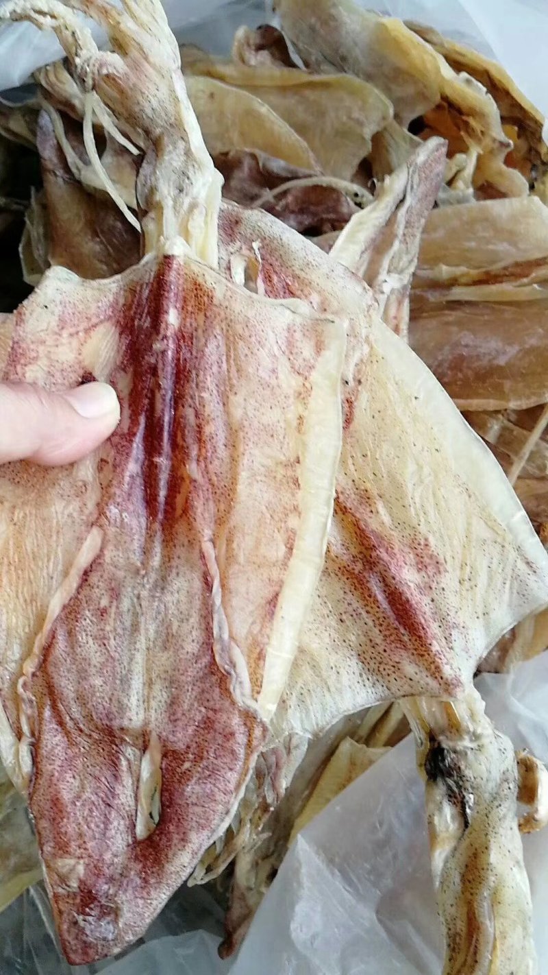 北海正宗船上吊晒鱿鱼