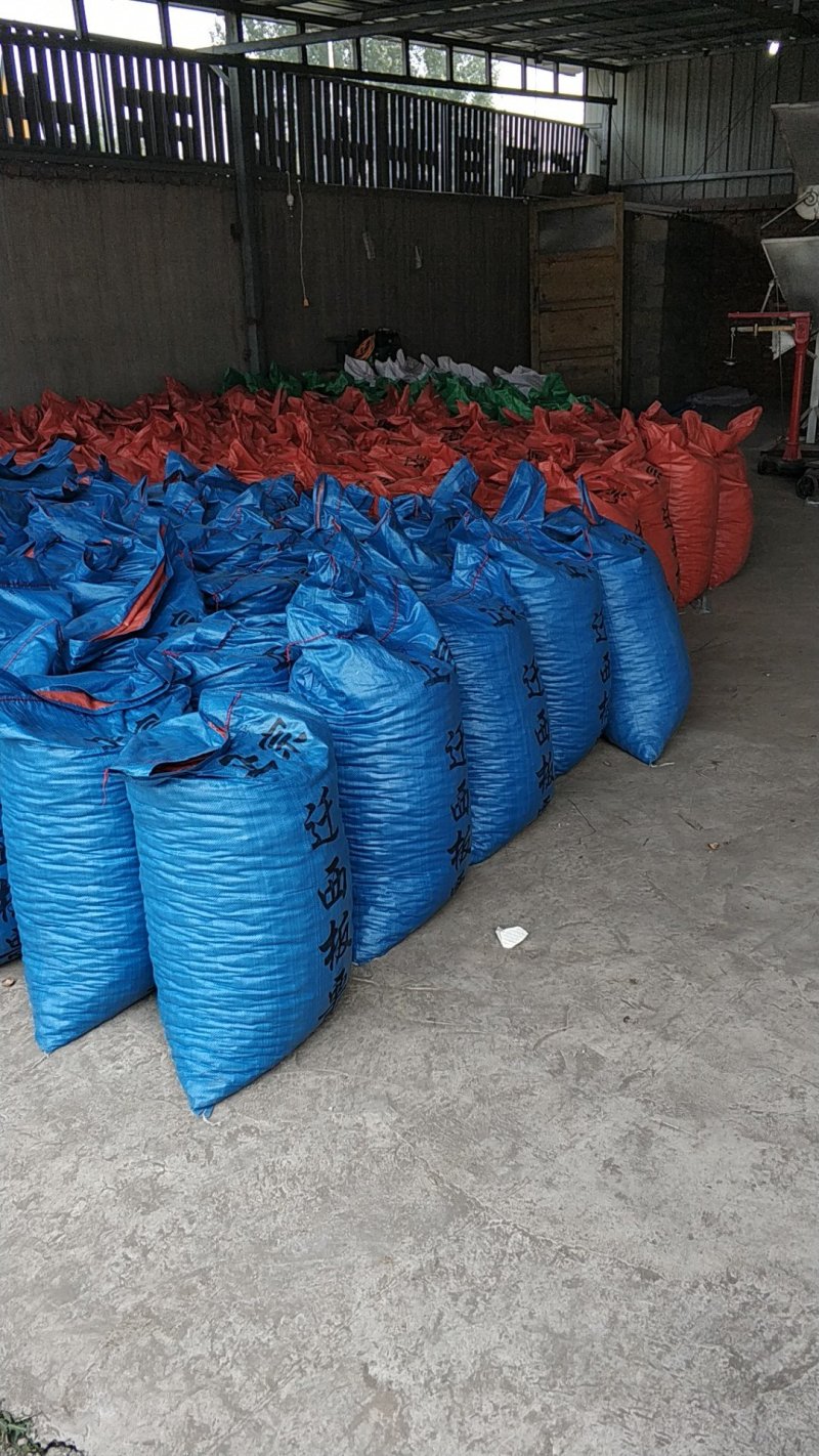 迁西板栗早期3113标粒每市斤55粒左右包邮